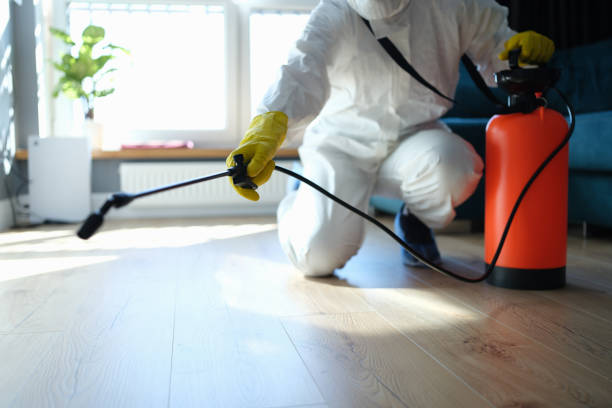Reliable Biohazard contractor in Ivanhoe, TX by Dulley Family Biohazard Services